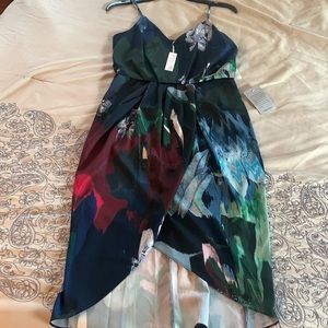 Brand new dress from Nordstrom